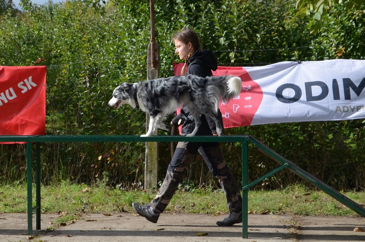DSC_0158_1280x847.jpg